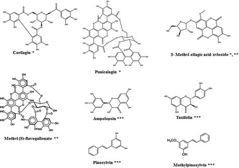 Ellagitannins Ellagic Acid Derivatives Flavonoids And Stilbenes Found