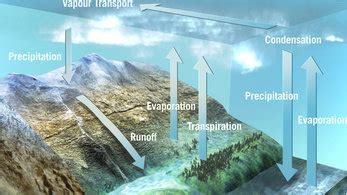 Space in Images - 2004 - 09 - The Earth's water cycle