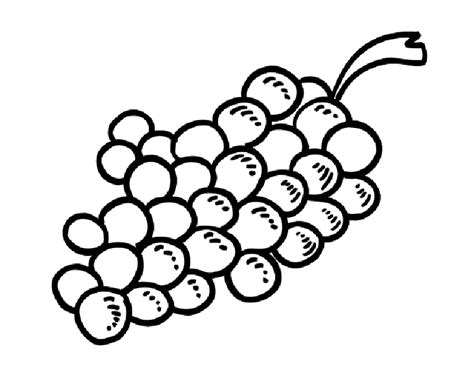 Dibujo De Uvas Moradas Para Colorear Porn Sex Picture