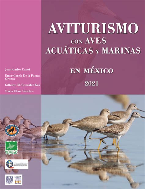 Pdf Aviturismo Con Aves AcuÁticas Y Marinas En MÉxico