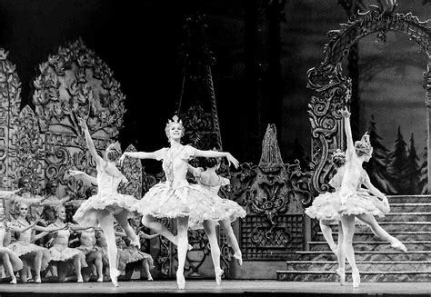 The Waltz Of The Flowers The Nutcracker Royal Ballet Photo By