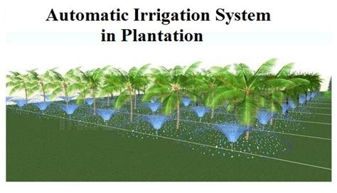 Automatic Water Irrigation System