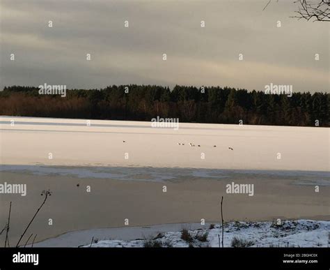 Winter Scene in Norway Stock Photo - Alamy