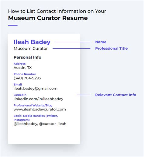 Museum Curator Resume Examples and Templates | ResumeCat