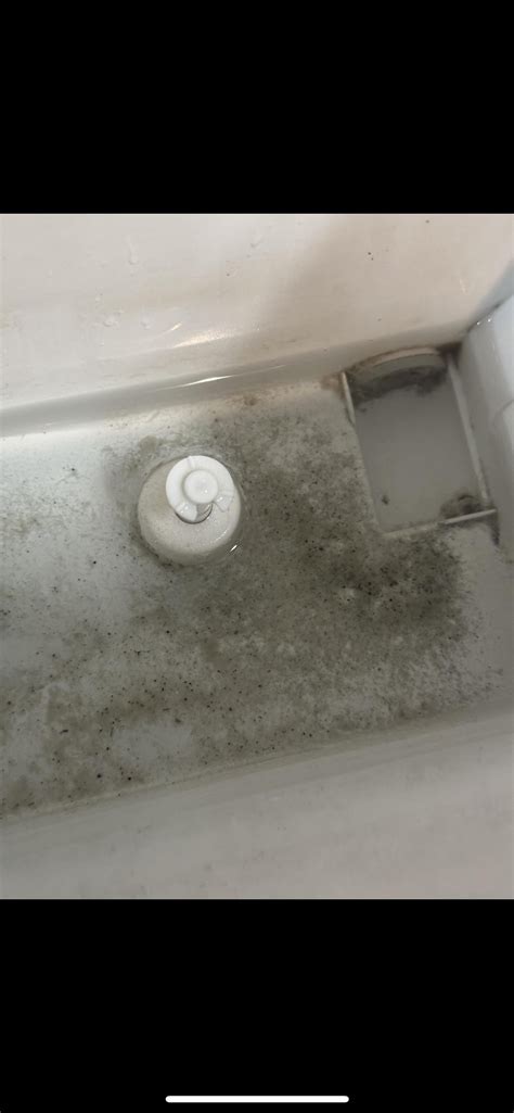 mold in ice machine? : r/Mold