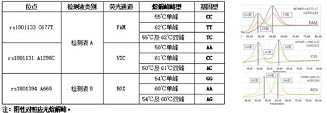 人类mthfr基因多态性检测试剂盒（熔解曲线法） 上海翼和应用生物技术有限公司