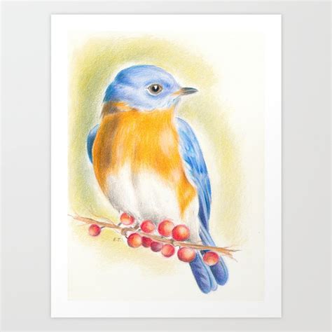 Blue Bird Colored Pencil Drawing Art Print by Seven Sirens Studios ...