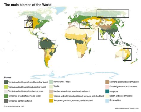 The Main Biomes Of The World The Map Shows The Major Biome Flickr