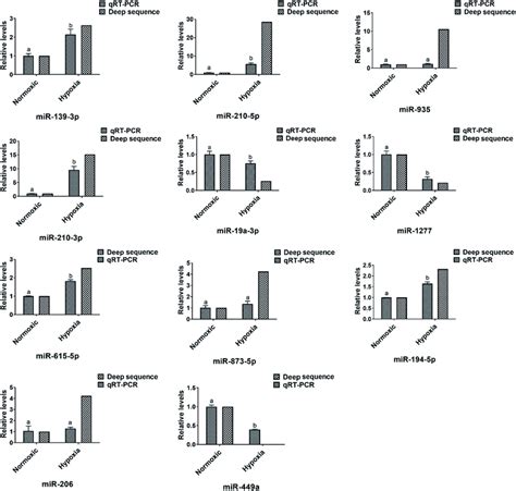 Identification And Characterization Of Differentially Expressed Mirnas