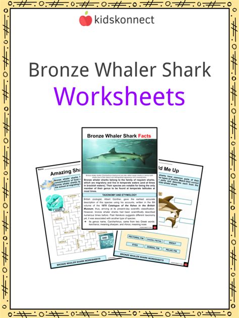 Bronze Whaler Shark Facts & Worksheets For Kids | PDF Resource