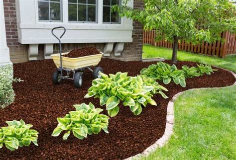 8 Inorganic and Organic Types of Mulch - GRIP ELEMENTS