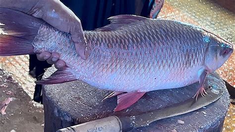 Amazing Big Rohu Fish Cutting By Expert Fish Cutter Fish Cutting