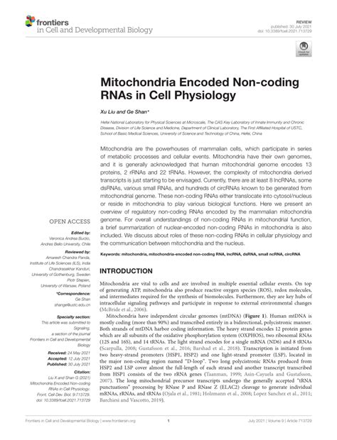 Pdf Mitochondria Encoded Non Coding Rnas In Cell Physiology