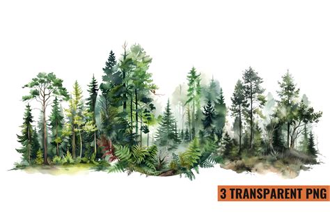 Watercolor Forest Tree Clipart Graphic By Craftart · Creative Fabrica