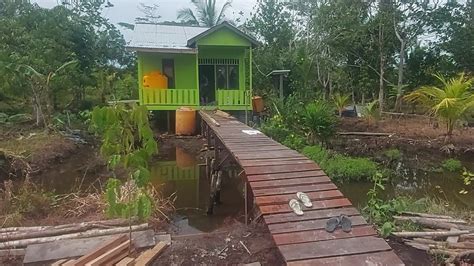 Sudah Terlihat Terang Di Belakang Rumah Mbah Aris Transmigarasi