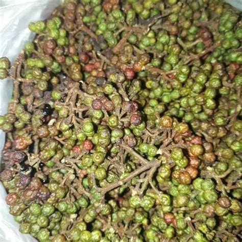 Jual Andaliman Segar Gram Di Lapak Hoping Store Bukalapak