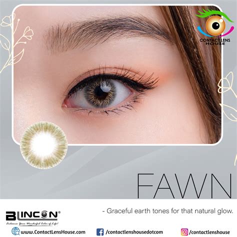 Blincon ViVi FAWN color cosmetic lens