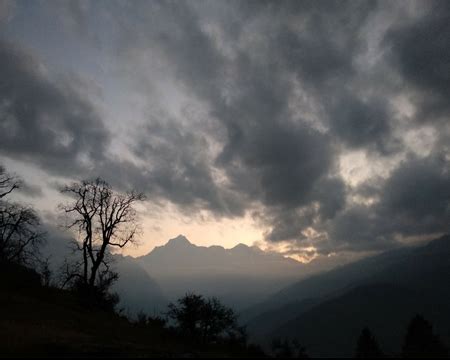 Kuari Pass Trek Winter Trek In Uttarakhand Bikat Adventures