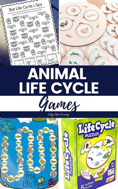 Animal Life Cycle Games | Free Homeschool Deals