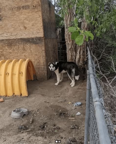 Fully nude strip clubs? : r/Denver