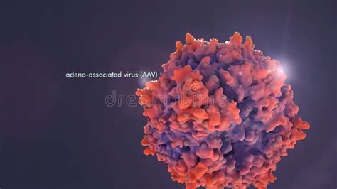 Antibody Therapies For The Prevention And Treatment Of Viral Infections Stock Illustration