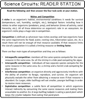Ecology Stem Steam Science Lab Centers Symbiosis Competition Predation