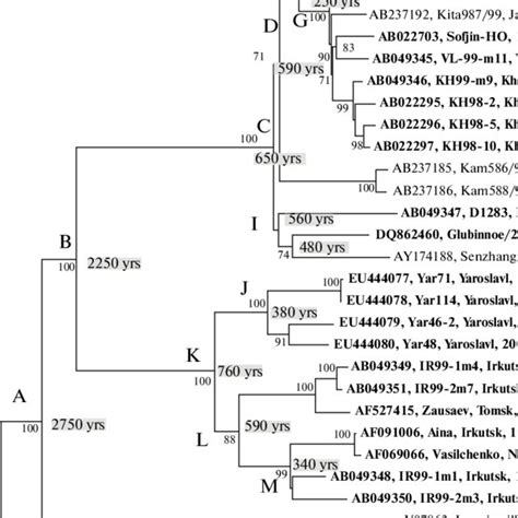 Phylogenetic Tree Of Tbev Strains And Isolates Constructed By