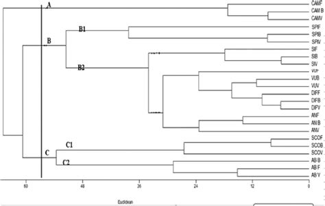 Upgma Dendrogram Based On The Similarity Of The Chemical Composition Of