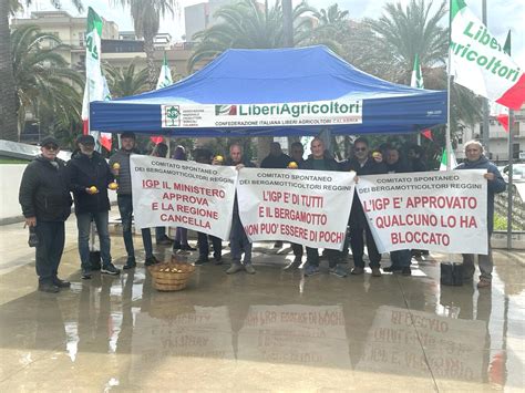 I Bergamotticoltori Di Reggio Calabria Scrivono A Occhiuto E A Gallo