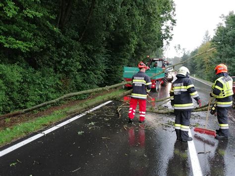 Feuerwehr Nitscha Baumbergung Am 17 08 2020 Auf B 54