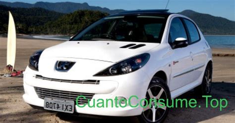 Consumo Del Peugeot 207 Quiksilver 1 6 16V 2013 CuantoConsume Top