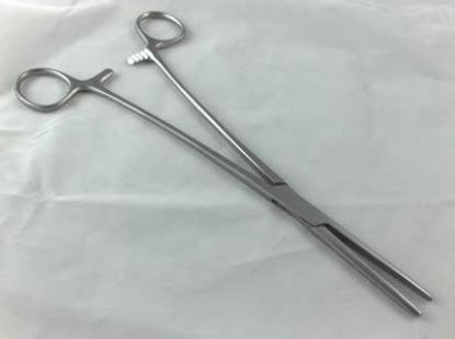 Spencer Wells Artery Forceps Straight X Medical World