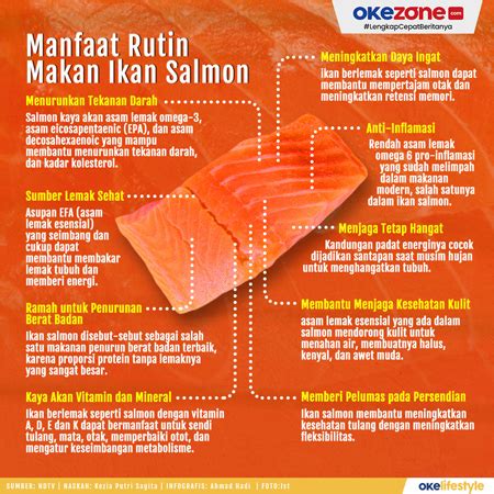 Manfaat Rutin Makan Ikan Salmon 0 Foto Okezone Infografis