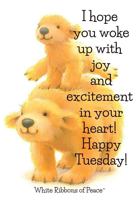 50 Best Happy Tuesday Quotes And Sayings With Pictures Artofit