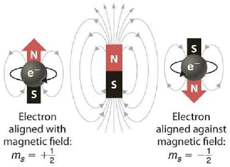 8.4: An Electron Has an Intrinsic Spin Angular Momentum - Chemistry ...