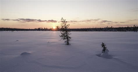 Fotoreise Winter In Finnisch Lappland Arr Reisen Natur Kultur Foto