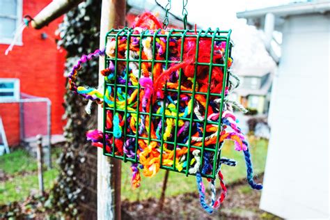 DIY Bird Nesting Kit – Our Beautifully Messy House