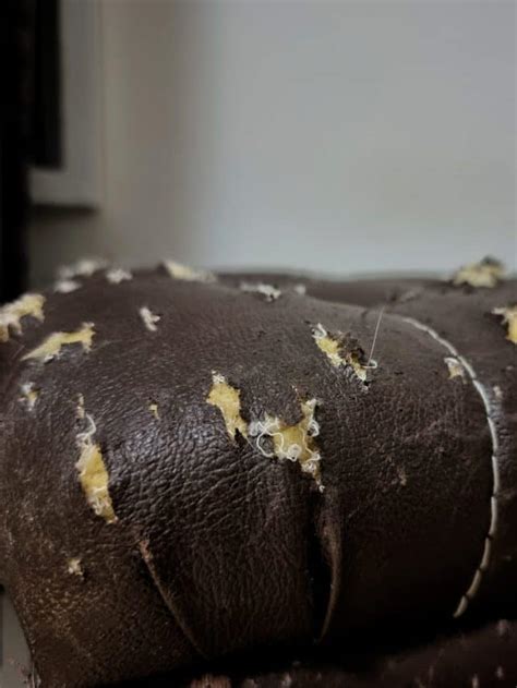 How To Fix A Cracked Leather Couch Home Decor Bliss