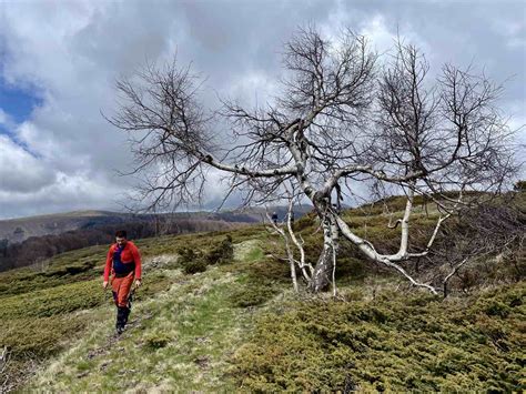 PSK Pobeda STARA PLANINA SRB 19 21 04 2024