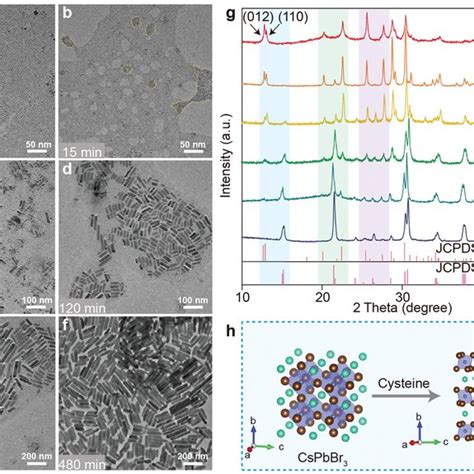 Af Typical TEM Images Of The Intermediates During The Formation Of