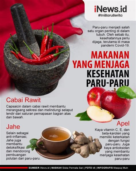 Infografis Makanan Baik Untuk Kesehatan Paru Paru