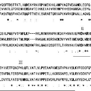 Amino Acid Alignment Of The Putative Rdrp Domains Of Ssdrv And Selected