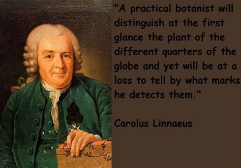 Carolus Linnaeus S Quotes Famous And Not Much Sualci Quotes