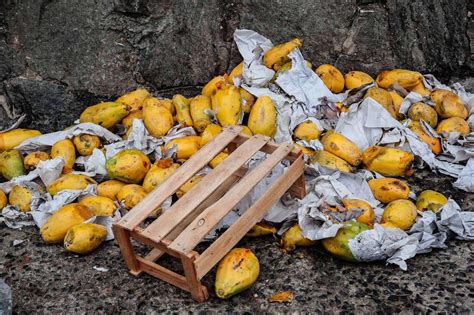 DesperdÍcio De Alimentos Um Problema No Mundo E De Todo Mundo Vegmag