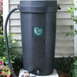 Ivy Rain Barrels – Still Available! – Water Quality Forum