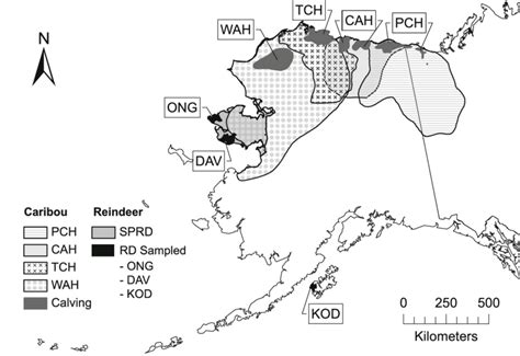 Map of caribou and reindeer herds sampled. Shown are the total ranges ...