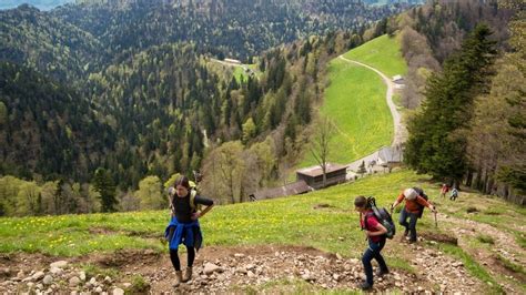 Dav T Bingen Hauptnavigation Tourenbericht Einlaufen Im Fr Hjahr