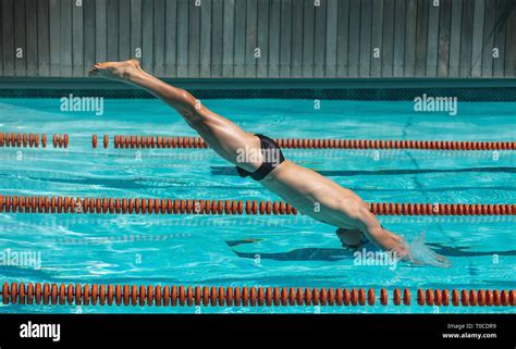 Young Male Swimmer Jumping Into Water Of A Swimming Pool Stock Photo