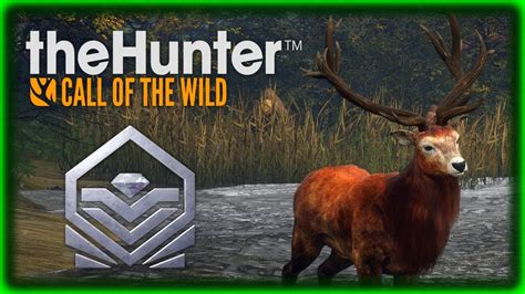 DIAMANTE NO JUEGUES CONMIGO AL ESCONDITE GAMEPLAY The Hunter Call Of