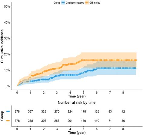 The Cumulative Incidence Curve With Number At Risk Table Of Overall